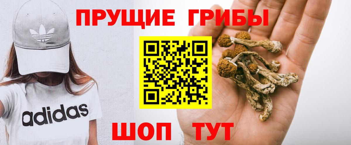 закладка  Вход с VPN  Курчатов  Галлюциногенные грибы прущие грибы 
